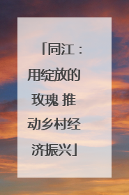同江：用绽放的玫瑰 推动乡村经济振兴