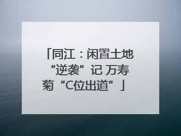 同江：闲置土地“逆袭”记 万寿菊“C位出道”