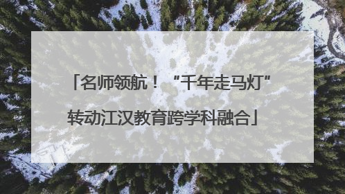 名师领航！“千年走马灯”转动江汉教育跨学科融合