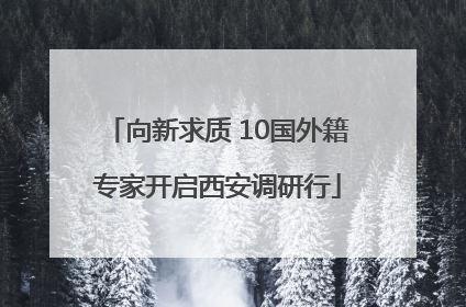 向新求质 10国外籍专家开启西安调研行