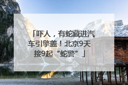 吓人，有蛇藏进汽车引擎盖！北京9天接9起“蛇警”