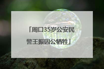 周口35岁公安民警王振因公牺牲