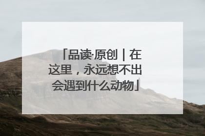 品读·原创｜在这里，永远想不出会遇到什么动物