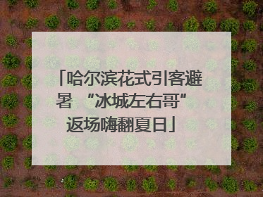 哈尔滨花式引客避暑 “冰城左右哥”返场嗨翻夏日