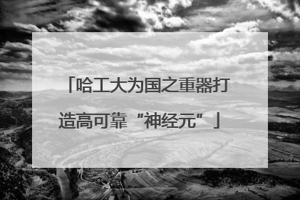 哈工大为国之重器打造高可靠“神经元”