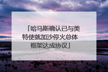 哈马斯确认已与美特使就加沙停火总体框架达成协议