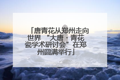 唐青花从郑州走向世界 “大唐・青花瓷学术研讨会”在郑州圆满举行