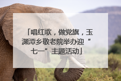 唱红歌，做党旗，玉渊潭乡敬老院举办迎“七一”主题活动