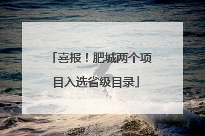 喜报！肥城两个项目入选省级目录