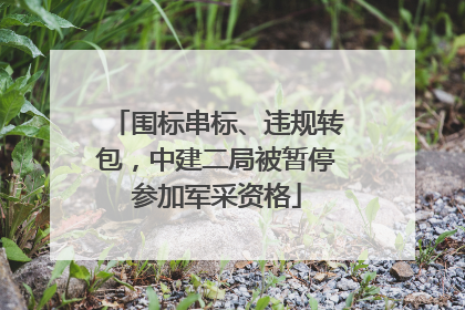 围标串标、违规转包，中建二局被暂停参加军采资格