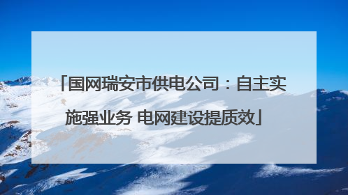 国网瑞安市供电公司：自主实施强业务 电网建设提质效