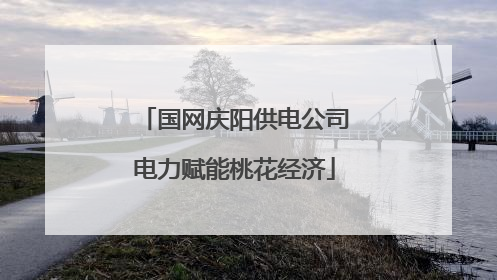 国网庆阳供电公司电力赋能桃花经济