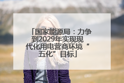 国家能源局：力争到2029年实现现代化用电营商环境“五化”目标