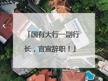 国有大行一副行长，官宣辞职！