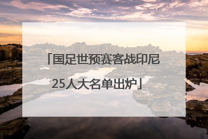 国足世预赛客战印尼25人大名单出炉