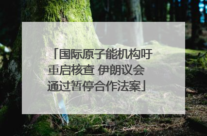 国际原子能机构吁重启核查 伊朗议会通过暂停合作法案