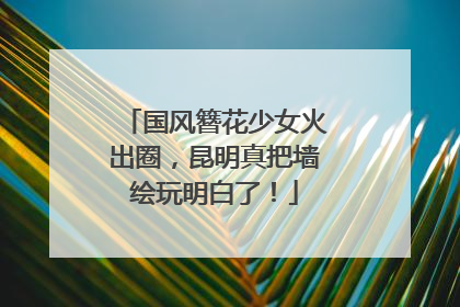 国风簪花少女火出圈，昆明真把墙绘玩明白了！