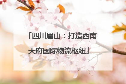 四川眉山：打造西南天府国际物流枢纽