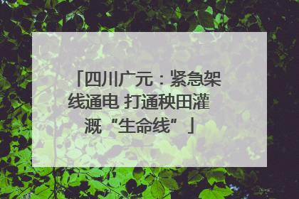 四川广元：紧急架线通电 打通秧田灌溉“生命线”