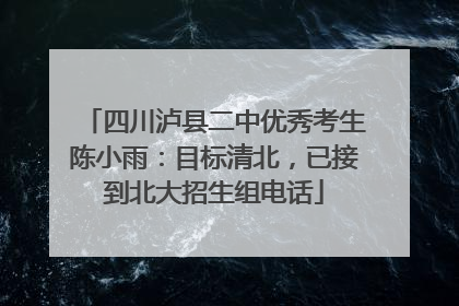 四川泸县二中优秀考生陈小雨：目标清北，已接到北大招生组电话