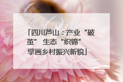 四川芦山：产业“破茧” 生态“织锦” 擘画乡村振兴新貌