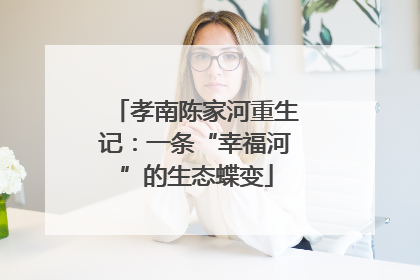 孝南陈家河重生记：一条“幸福河”的生态蝶变