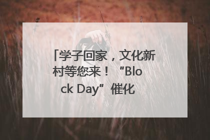 学子回家，文化新村等您来！“Block Day”催化学院式街区新生态