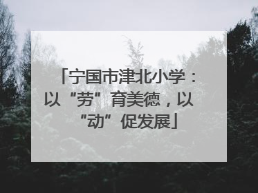 宁国市津北小学：以“劳”育美德，以“动”促发展
