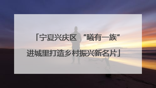 宁夏兴庆区 “曦有一族”进城里打造乡村振兴新名片