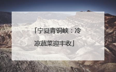宁夏青铜峡：冷凉蔬菜迎丰收