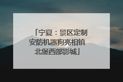 宁夏：景区定制安防机器狗亮相镇北堡西部影城