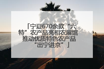 宁夏670余款“六特”农产品亮相农展馆 推动优质特色农产品“出宁进京”