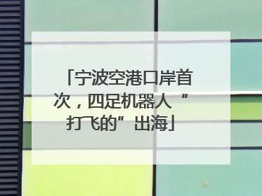 宁波空港口岸首次，四足机器人“打飞的”出海