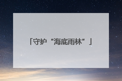 守护“海底雨林”