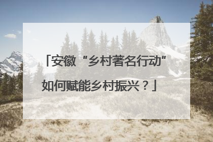 安徽“乡村著名行动”如何赋能乡村振兴？