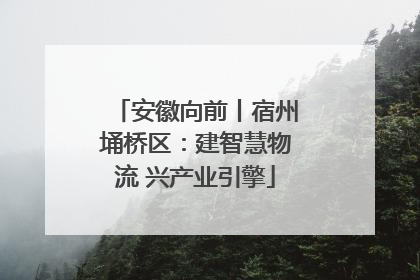 安徽向前丨宿州埇桥区：建智慧物流 兴产业引擎