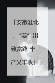 安徽淮北：“蒜”出致富路 丰产又丰收