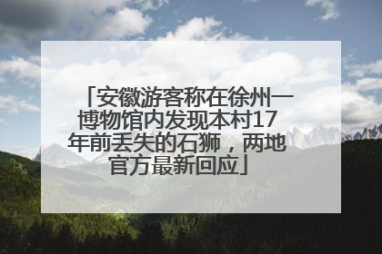 安徽游客称在徐州一博物馆内发现本村17年前丢失的石狮，两地官方最新回应