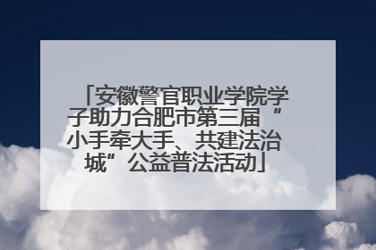 安徽警官职业学院学子助力合肥市第三届“小手牵大手、共建法治城”公益普法活动