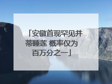 安徽首现罕见并蒂睡莲 概率仅为百万分之一