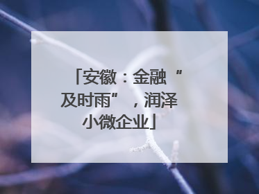 安徽：金融“及时雨”，润泽小微企业