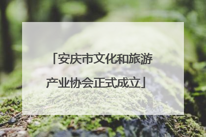 安庆市文化和旅游产业协会正式成立