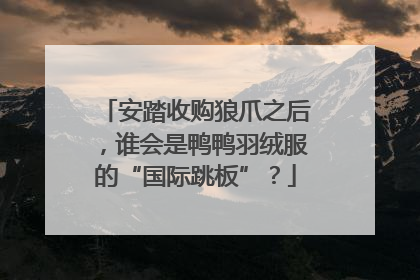 安踏收购狼爪之后，谁会是鸭鸭羽绒服的“国际跳板”？