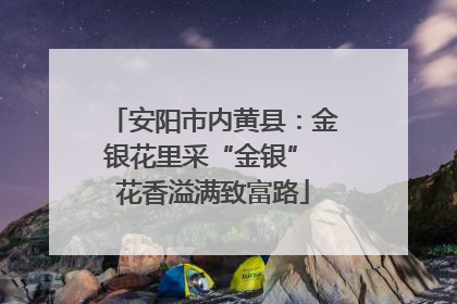 安阳市内黄县：金银花里采“金银” 花香溢满致富路