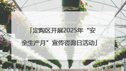 定陶区开展2025年“安全生产月”宣传咨询日活动