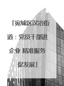 宛城区汉冶街道：党员干部进企业 精准服务促发展