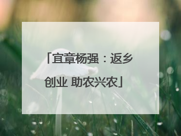 宜章杨强：返乡创业 助农兴农