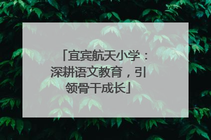 宜宾航天小学：深耕语文教育，引领骨干成长