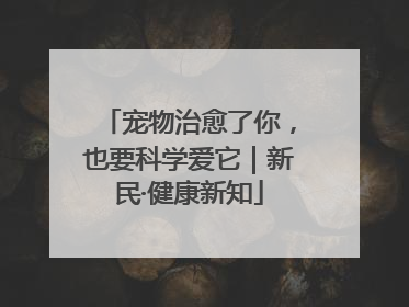 宠物治愈了你，也要科学爱它｜新民·健康新知