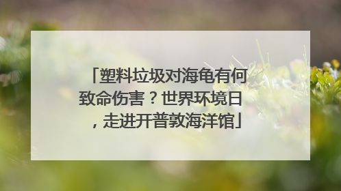 塑料垃圾对海龟有何致命伤害？世界环境日，走进开普敦海洋馆
